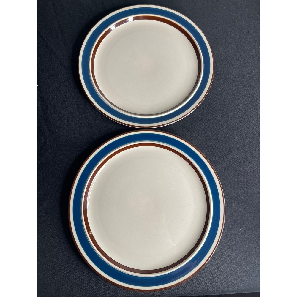 Set of 2 The Cellar Akey Blue Stoneware Dinner Plates Japan Vintage Macy's 10.5"